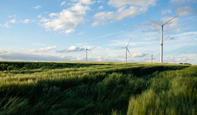 grassy field with windmills